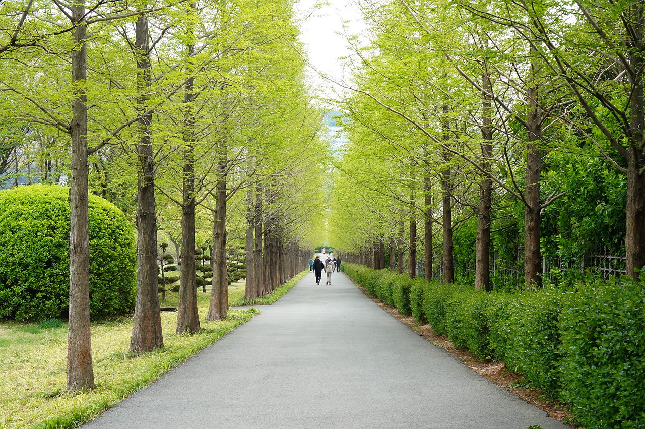 5. 福利厚生の充実